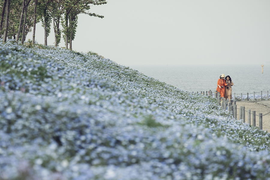 f:id:kt-photo:20190426203030j:plain