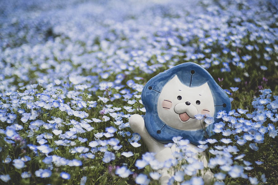 f:id:kt-photo:20190426203038j:plain