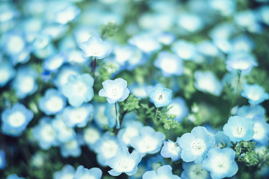 f:id:kt-photo:20190426203041j:plain