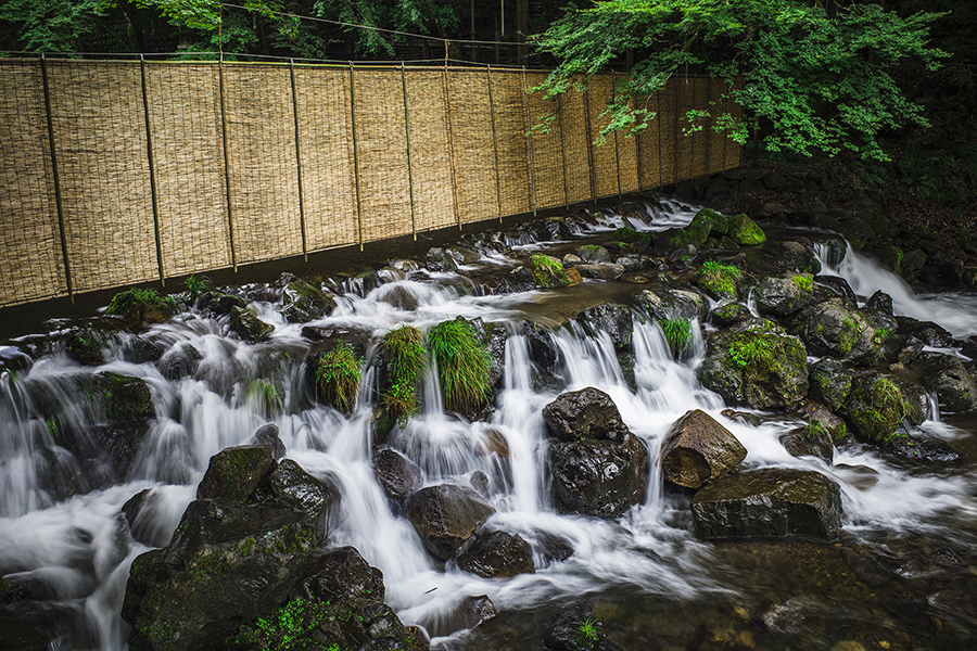 f:id:kt-photo:20190724193437j:plain