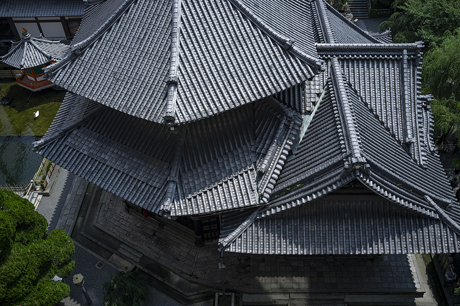 f:id:kt-photo:20190803195701j:plain