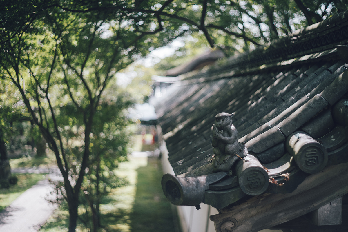 f:id:kt-photo:20200917024435j:plain