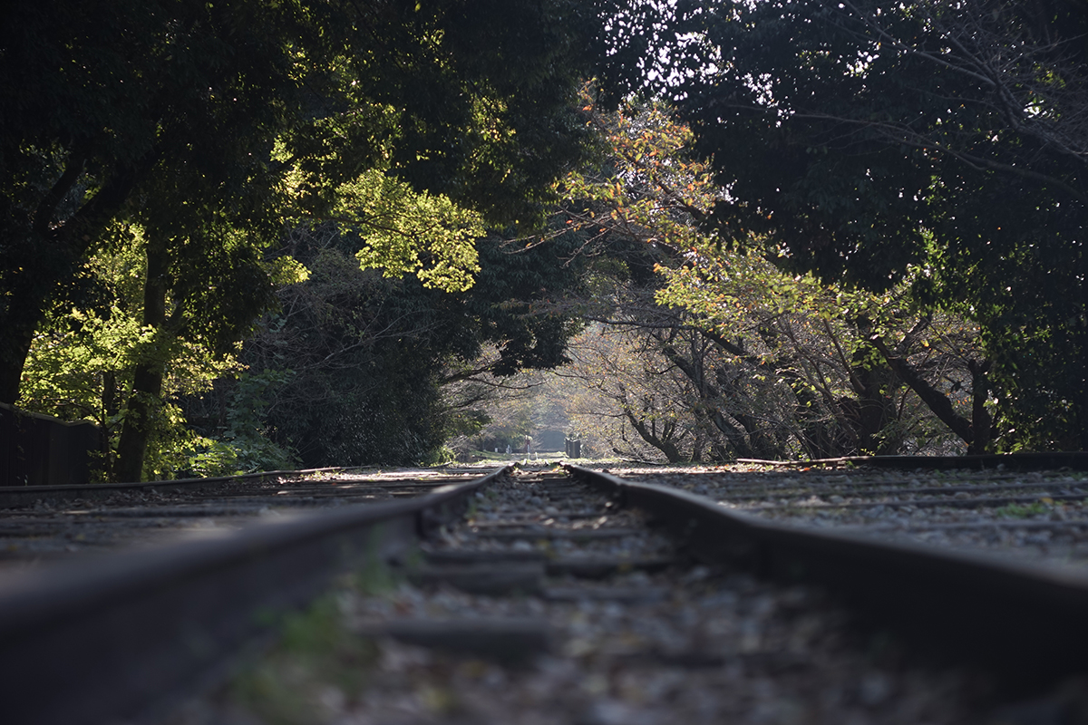 f:id:kt-photo:20201023050520j:plain