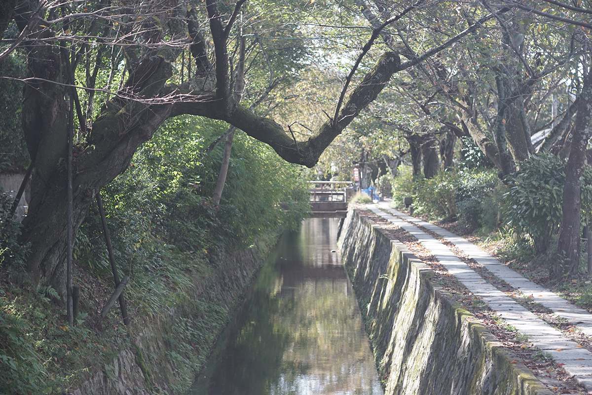f:id:kt-photo:20201024024400j:plain