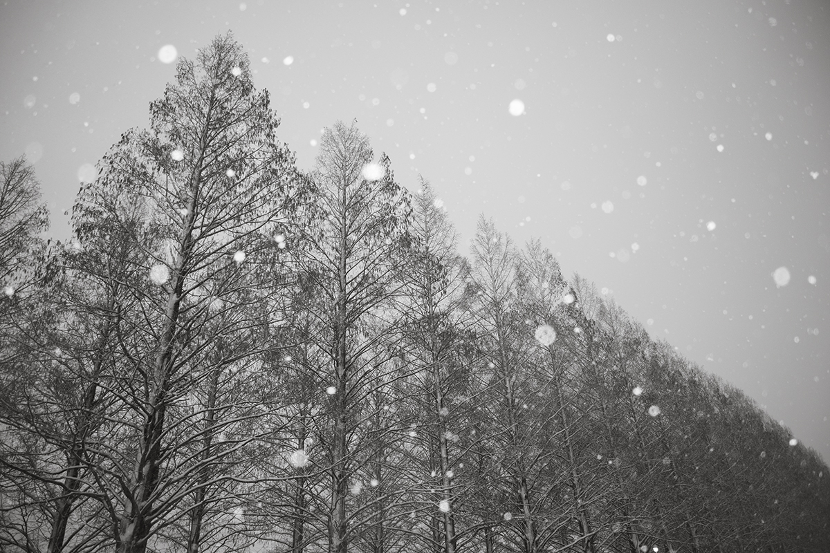 f:id:kt-photo:20220101193627j:plain