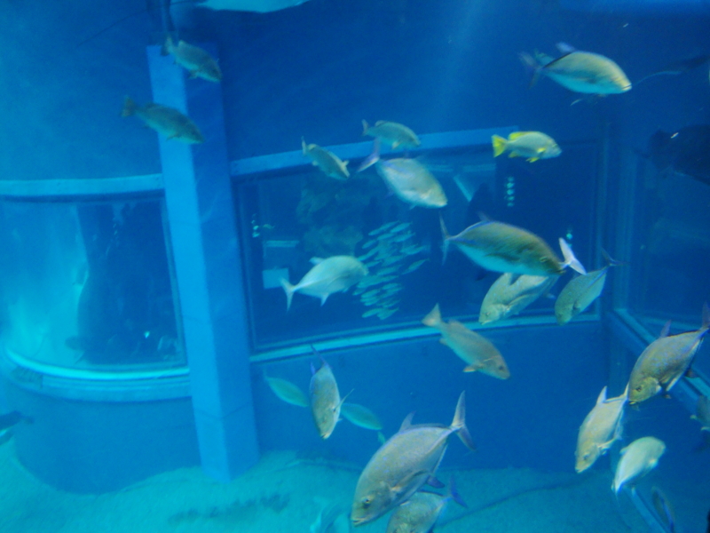 f:id:kt136889:20110326114808j:image f:id:kt136889:20110326114808j:image