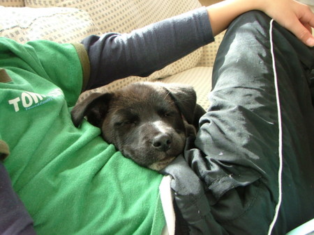 f:id:kt44:20030121215301j:image