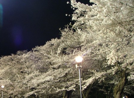 f:id:kt44:20030125070726j:image