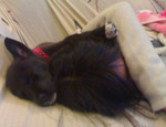 f:id:kt44:20080103235953j:image f:id:kt44:20080103235953j:image