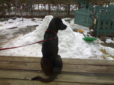 f:id:kt44:20080211101616j:image
