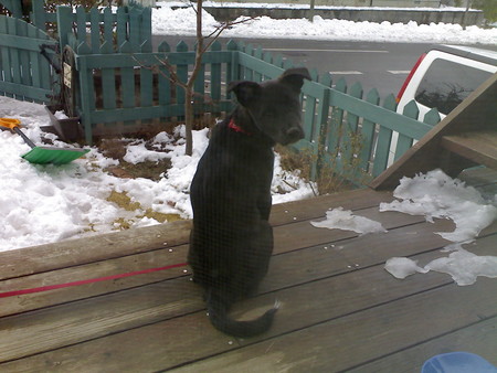 f:id:kt44:20080211101809j:image