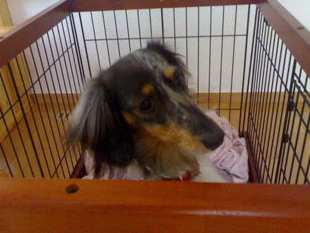 f:id:kt44:20080308140851j:image f:id:kt44:20080308140851j:image