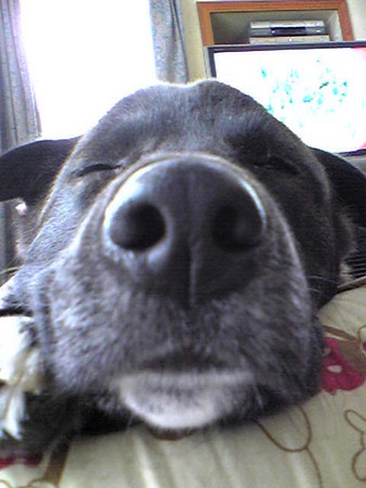 f:id:kt44:20080531134500j:image