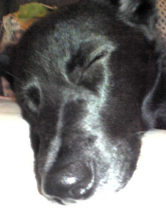 f:id:kt44:20080531184100j:image