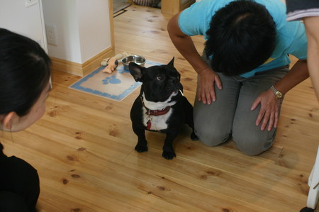 f:id:kt44:20080610145734j:image
