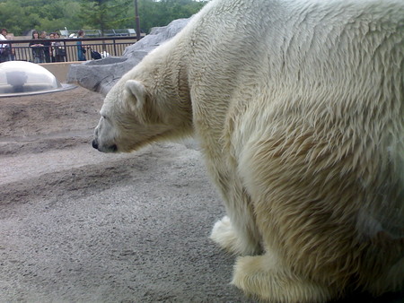 f:id:kt44:20080709123057j:image
