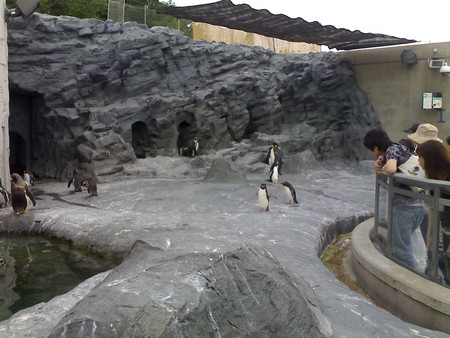 f:id:kt44:20080709124233j:image