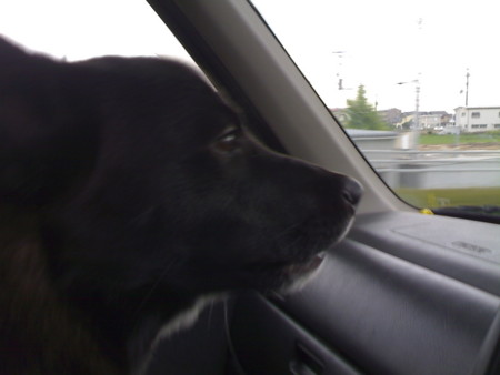 f:id:kt44:20080716171832j:image