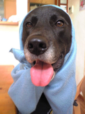 f:id:kt44:20090906102000j:image