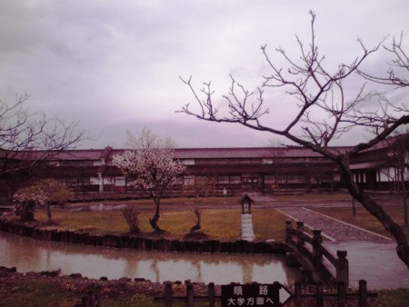 f:id:kt44:20100429120300j:image