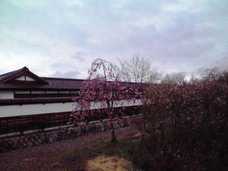 f:id:kt44:20100429131400j:image