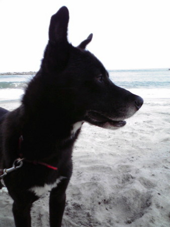 f:id:kt44:20100817160300j:image