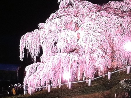 f:id:kt44:20110423120726j:image