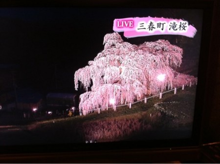 f:id:kt44:20110423120728j:image