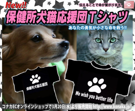 f:id:kt44:20130321164839j:image