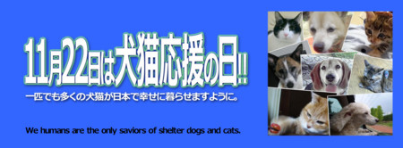 f:id:kt44:20131112172555j:image