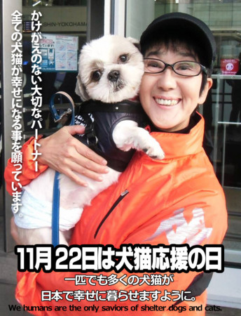 f:id:kt44:20131113110332j:image