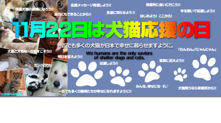 f:id:kt44:20131116112752j:image