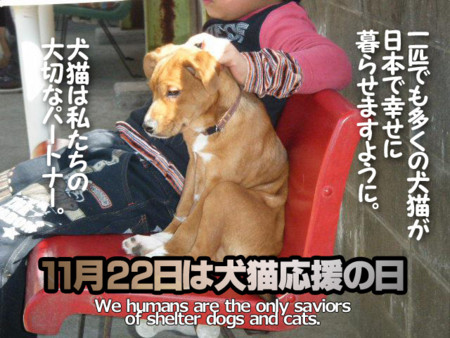 f:id:kt44:20131122174057j:image
