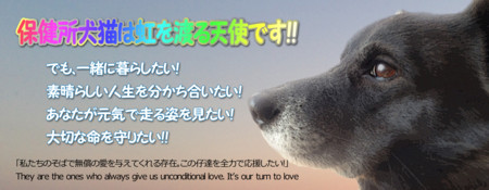 f:id:kt44:20131129171021j:image f:id:kt44:20131129171021j:image