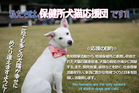 f:id:kt44:20140108181632j:image