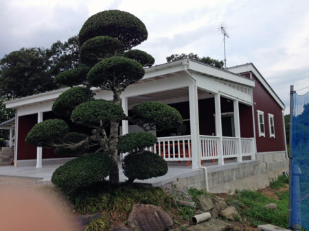 f:id:kt44:20140813182655j:image