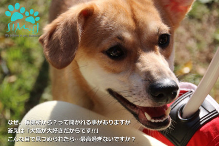 f:id:kt44:20150225092808j:image