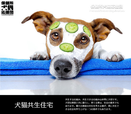 f:id:kt44:20150602173712j:image