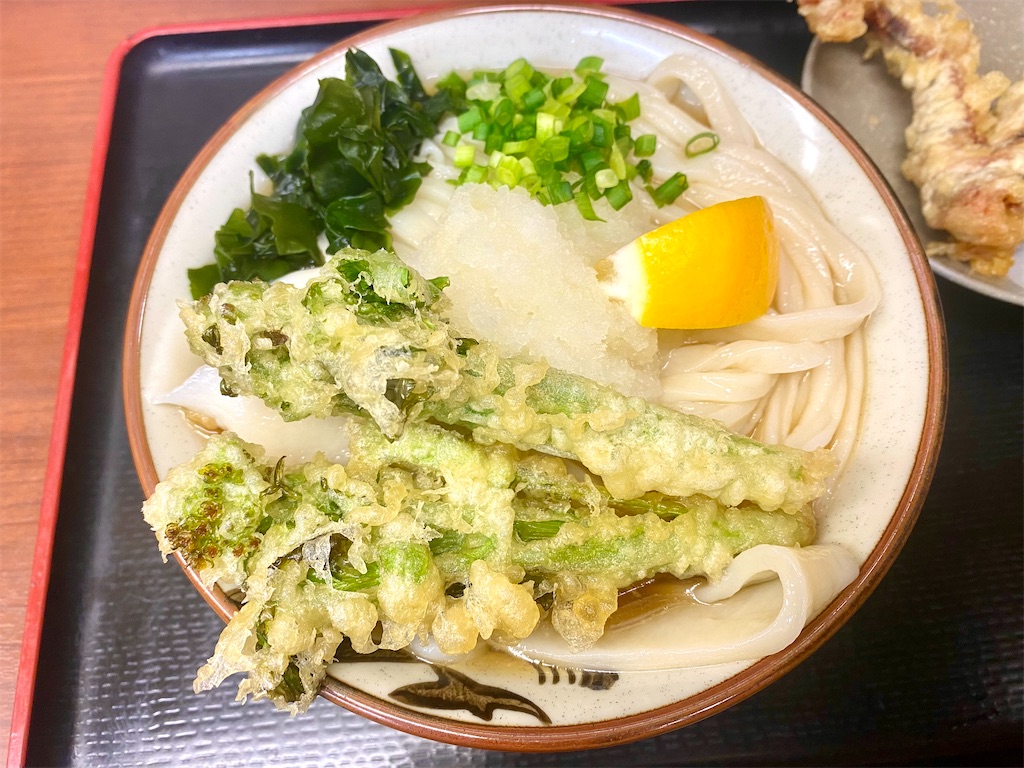 f:id:kt6119:20260221184634j:image f:id:kt6119:20260221184634j:image