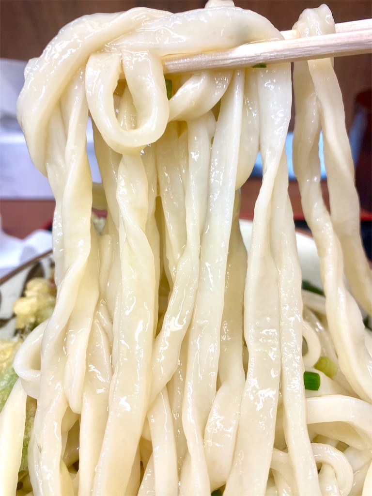 f:id:kt6119:20260221184658j:image f:id:kt6119:20260221184658j:image