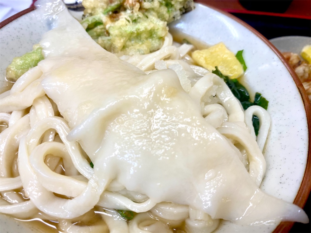 f:id:kt6119:20260221184708j:image f:id:kt6119:20260221184708j:image