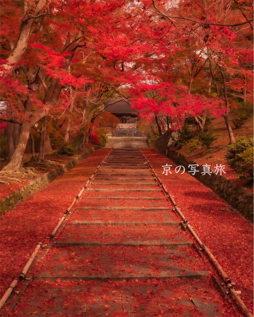 毘沙門 堂 紅葉
