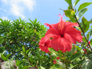 f:id:ktaguma:20050928133021j:image