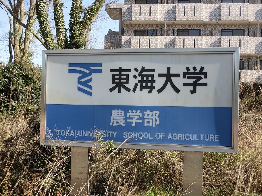 f:id:ktai-kawaguchi:20200221110142j:plain