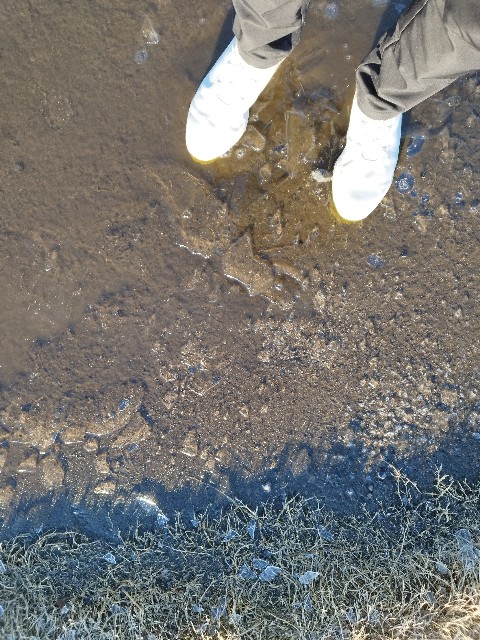 f:id:ktakada0711:20250127144833j:image