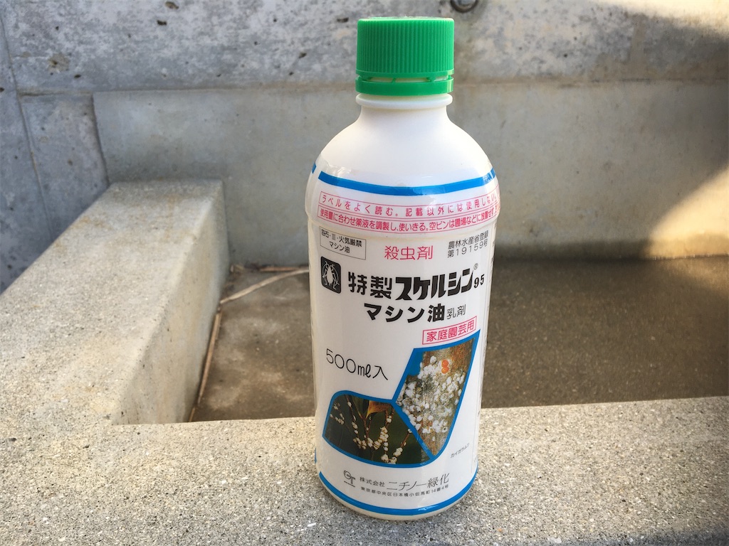 f:id:ktakagaki:20200219210241j:image f:id:ktakagaki:20200219210241j:image
