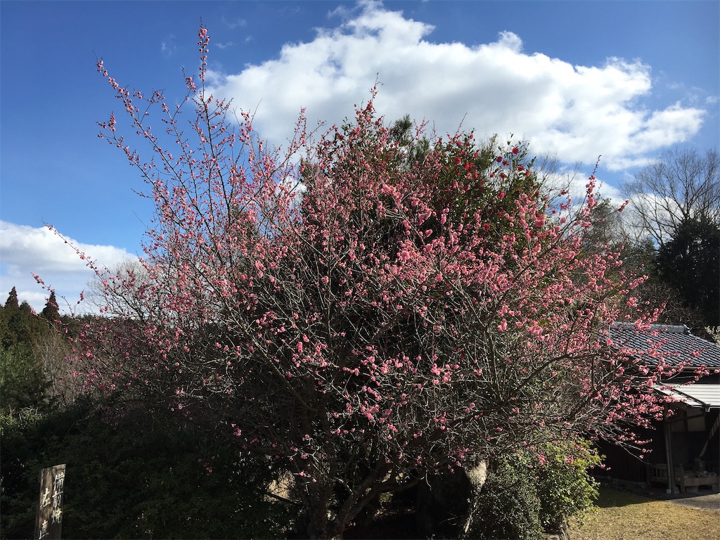f:id:ktakagaki:20200220201700j:image f:id:ktakagaki:20200220201700j:image