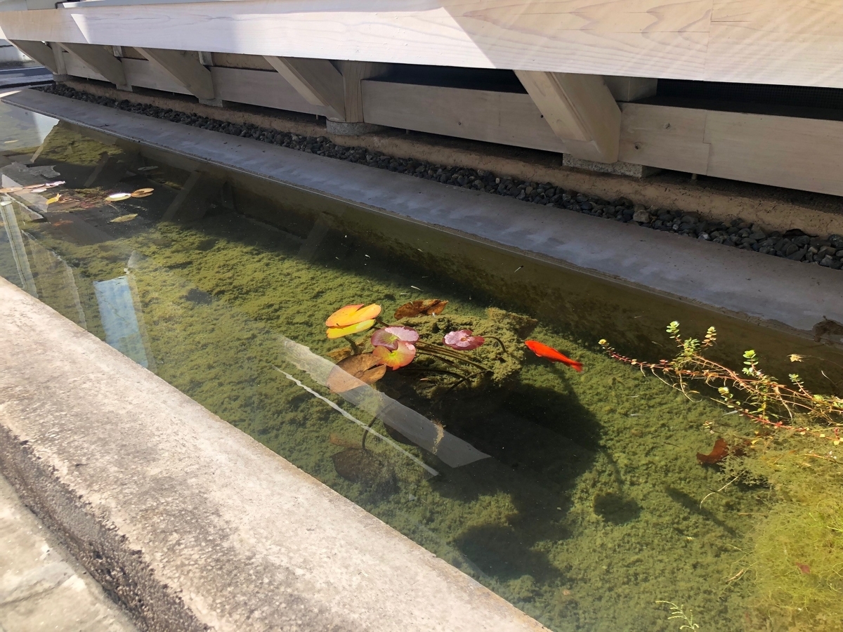 f:id:ktake0606:20200901123522j:plain