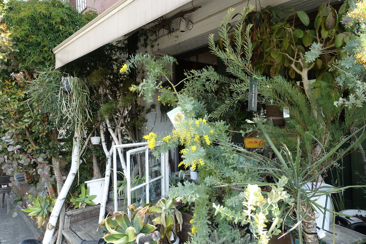 f:id:ktake0606:20220301122305j:plain