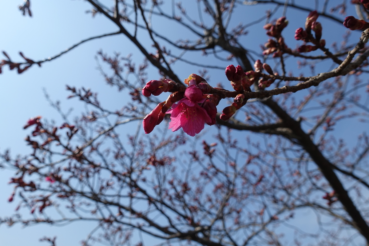 f:id:ktake0606:20220301122427j:plain